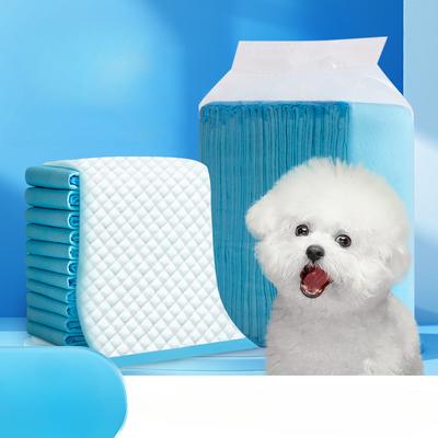 Pet Pee Pad, Large Thick, Dog Pee Pad, Dog Urine Absorbent Paper, Absorbent, Deodorizing, Back Adhesive, Diaper Pet Supplies