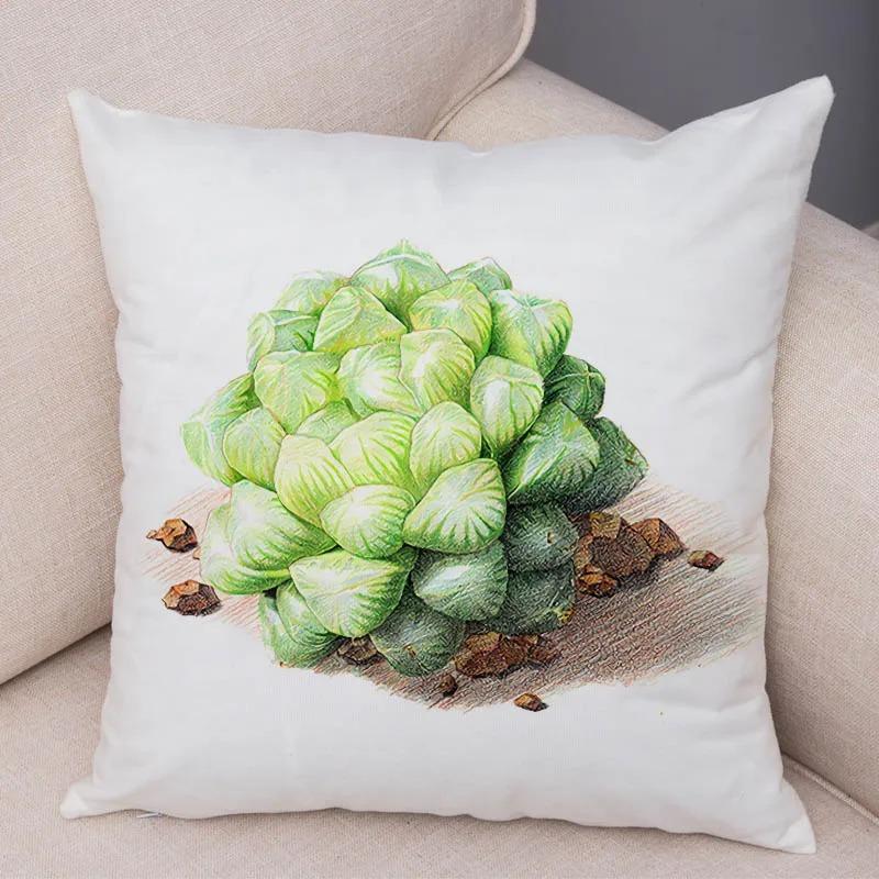 Watercolor Succulents Decorative Pillowcase Office Living Room Car Ornaments Home Pillowcase
