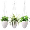 Eggshell Shape Hanging Plant Pot Water Storage Plant Container  Home Decoration
