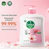Dettol Moisturizing Antibacterial Hand Wash