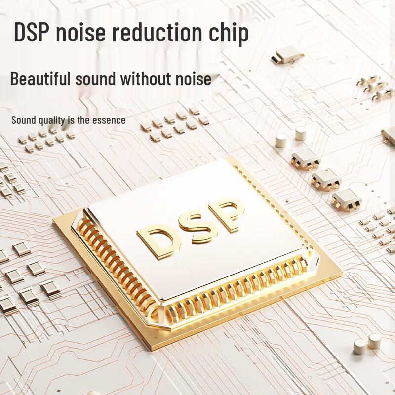 Newmine MC75 Portable Bluetooth Karaoke Speaker with Dual Mics