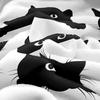 Feelyou Black Cat Blanket for Kids Toddler Cute Pet Cats Pattern Fleece Throw Blanket Lovely Kitten Plush Blankets and Throws Super Soft Coz