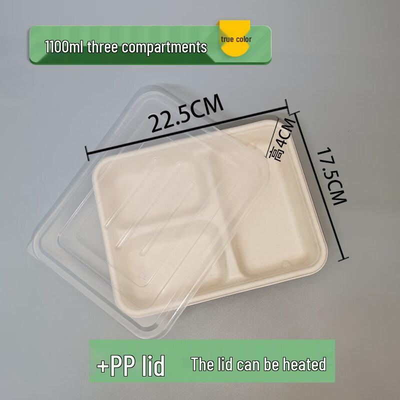 ZISIZ Disposable Multi-Compartment Lunch Box