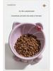 Ceramic Cat Food Bowl - Cute Pet Feeding Dish