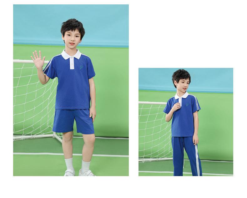 Shenzhen School Uniform Set: Quick-Dry, Antibacterial, Odor-Resistant Shorts, Pants, and T-Shirt