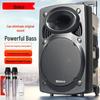 Shinco Portable Karaoke PA Speaker