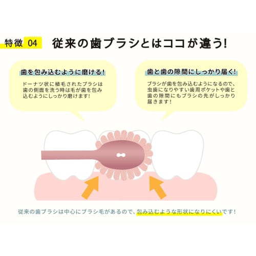 A toothbrush that easily cleans even the backs of your molars | Perforated design promotes drying and hygiene [Good Design Award Winner] Regular, 4-Pi