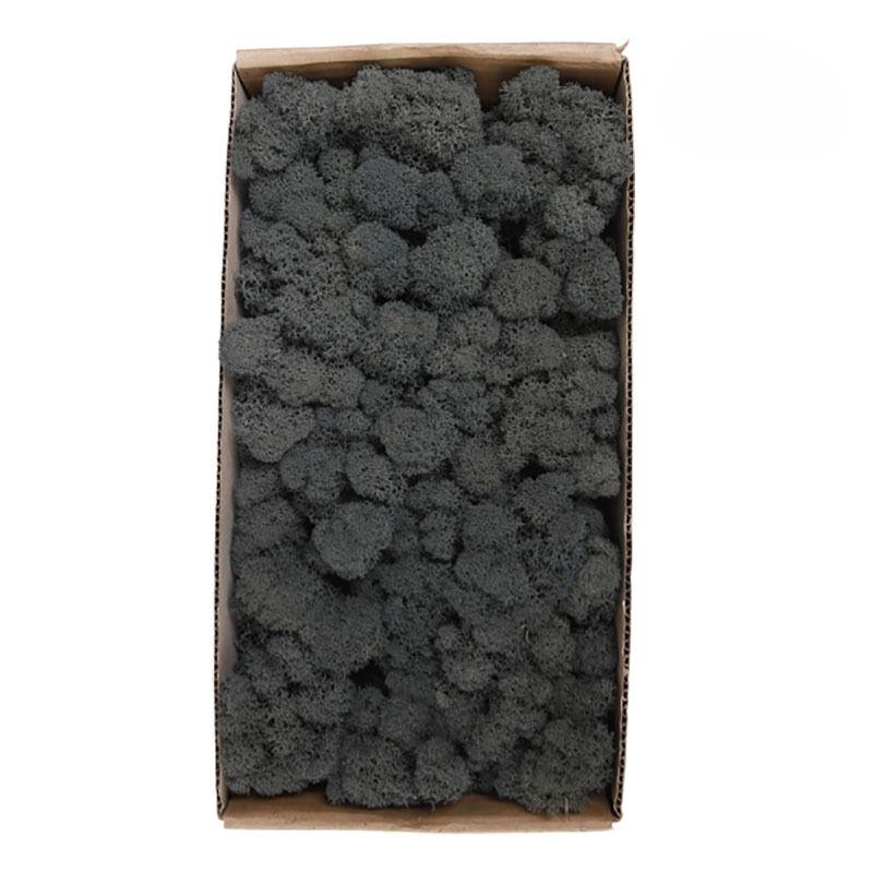 

Вечный мох, искусственный мох, растение, настенный пейзаж, домашний декоративный мох, разноцветный материал ручной работы, сушеный цветок 20g серый