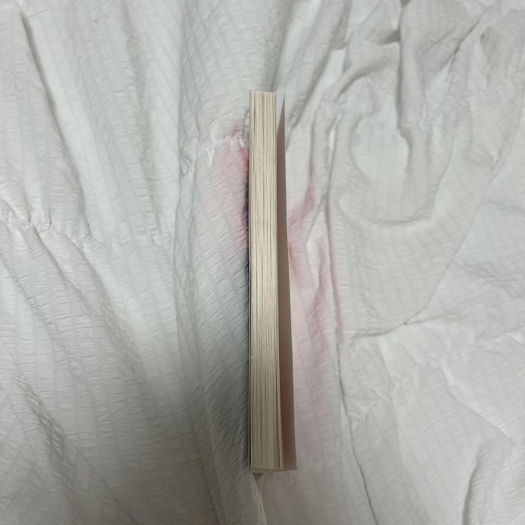 [USED] No Longer Human by Osamu Dazai (Foreign Books)