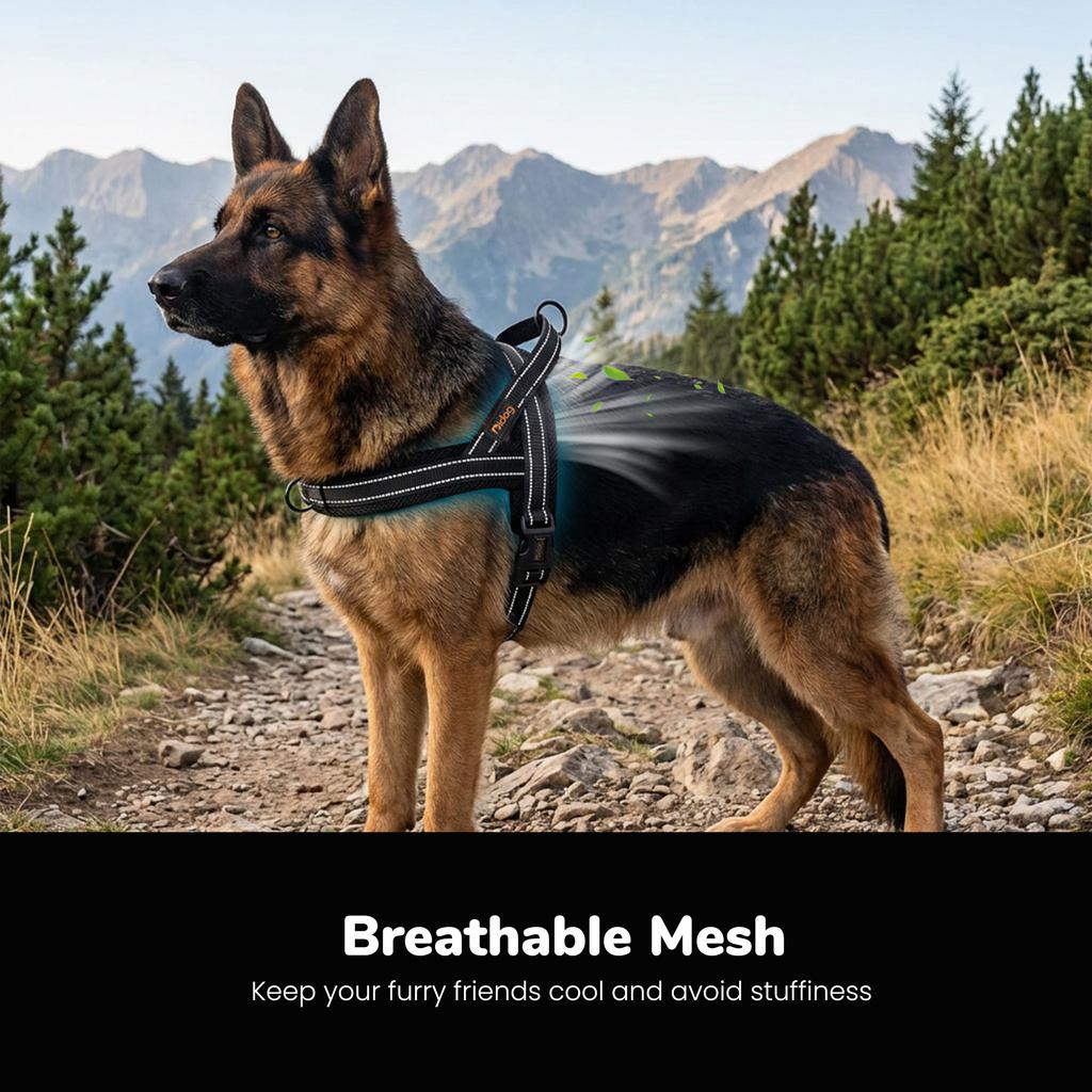 No Pull Nylon Dog Harness Mesh Padded Pet Harnesses Reflective Dog Walking Training Vest Breathable for Small Medium Large Dogs