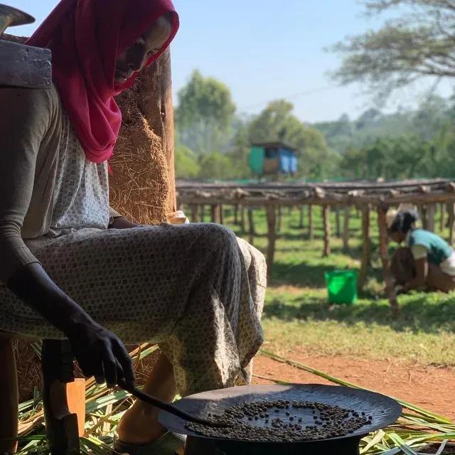 Ethiopian Single Origin Coffee Beans 200g