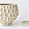 Creative Ceramic Succulent Pot for Phalaenopsis & Cyclamen - Rough Pottery Ornament