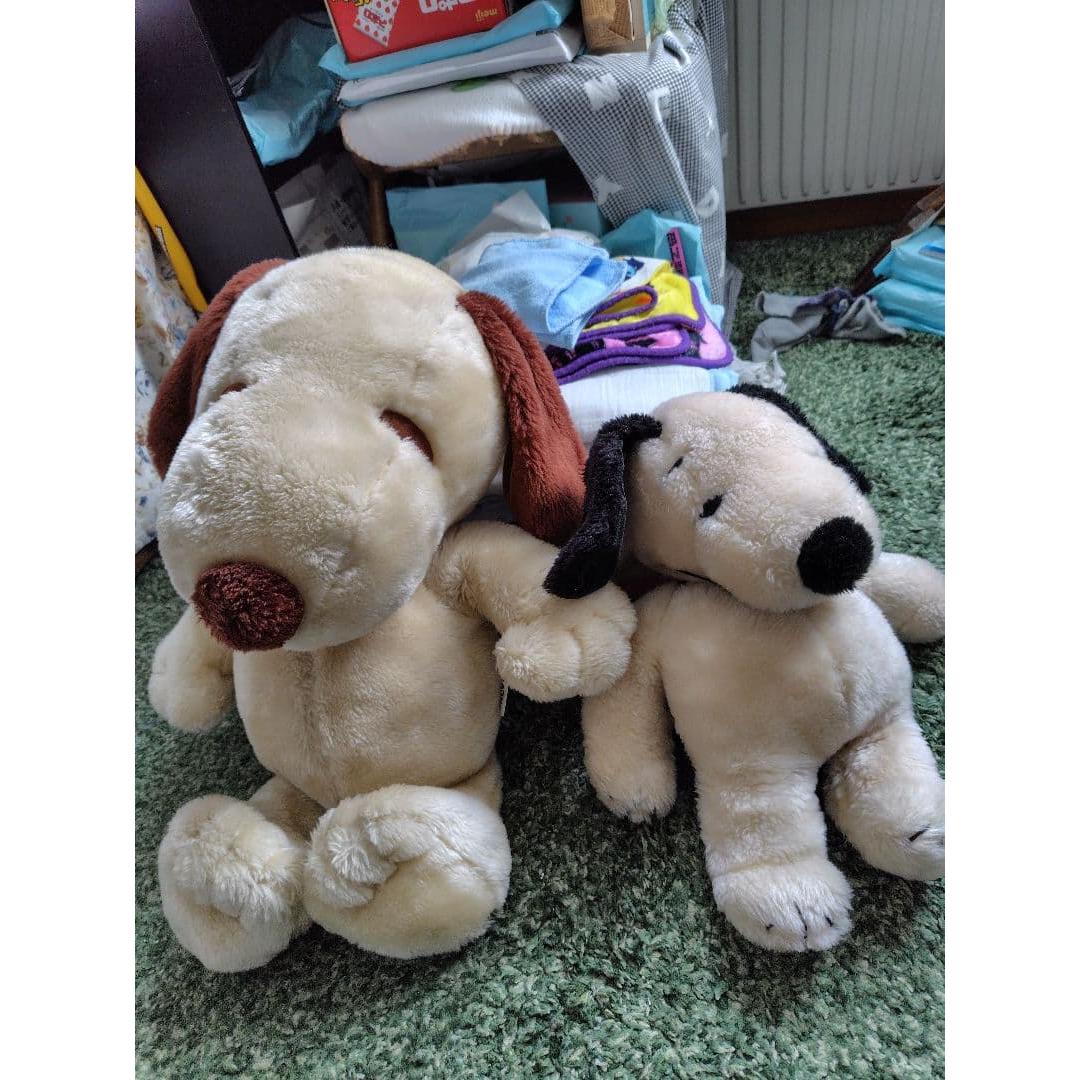 Snoopy stuffed animal set of 2
