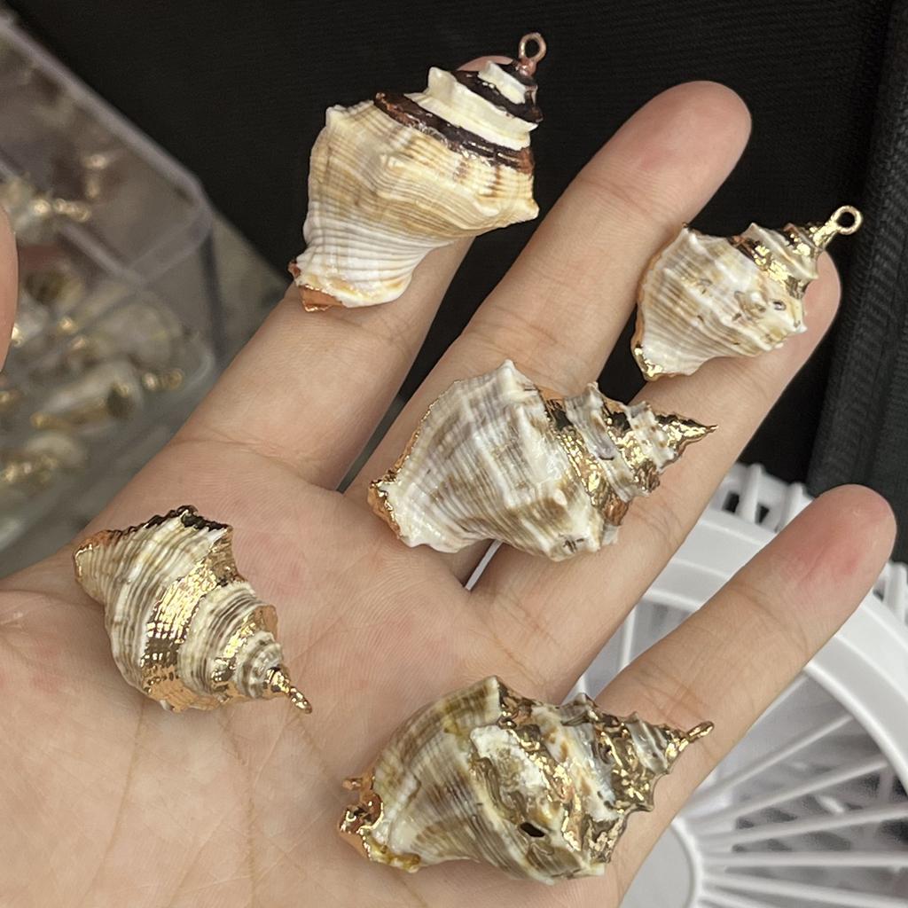 3Pcs, Natural Shell Conch Pendant, Ocean Style Irregular Charms for Jewelry Making DIY Necklace Accessories, Creative Home Decor Supplies