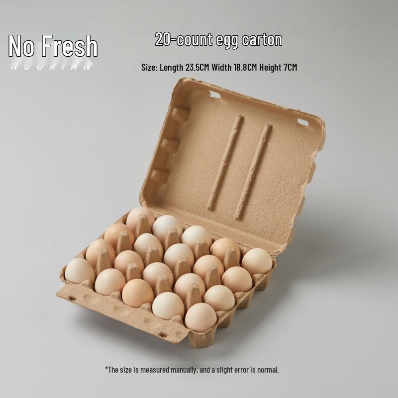 Biodegradable Pulp Egg Cartons Standard