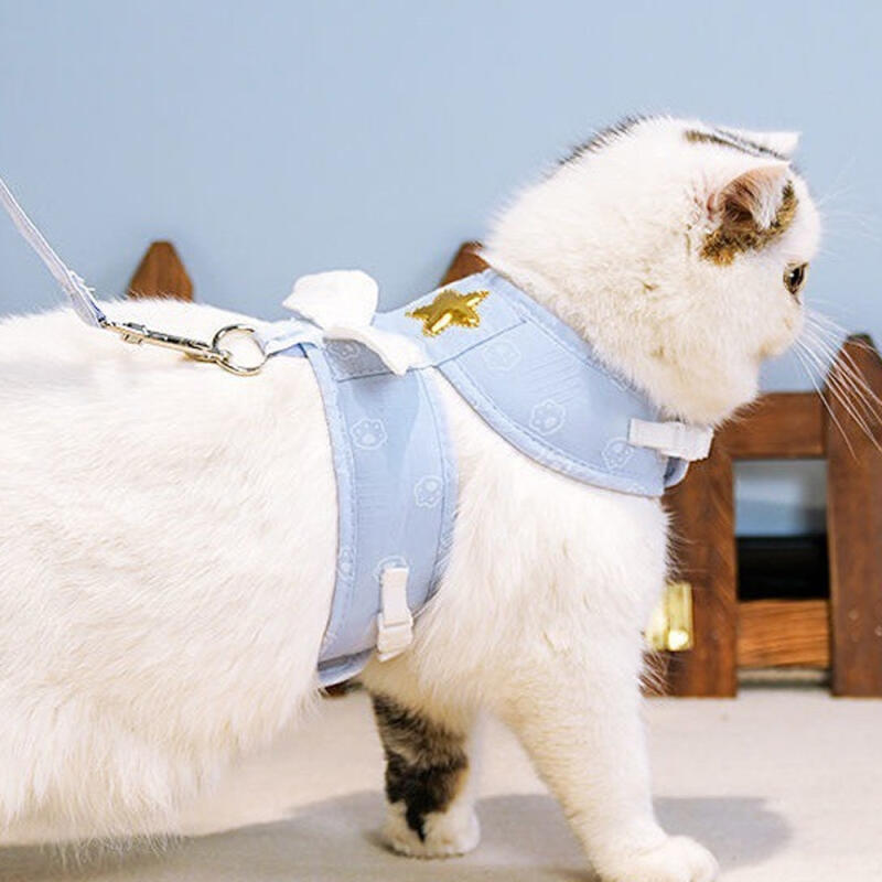 Pet Angel Harness + Leash (XL) (Sky)