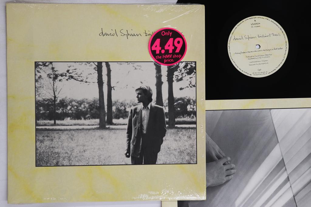 LP Record DAVID SYLVIAN - Brilliant Trees V2290 VIRGIN 1984 UK Rock Used