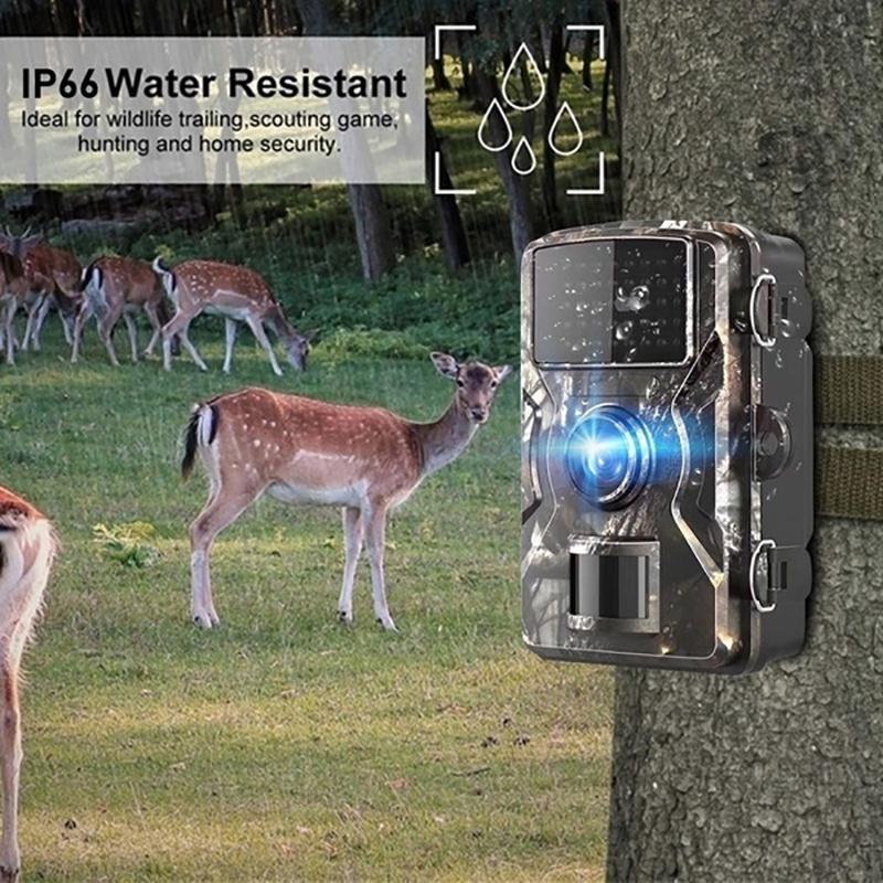 HD 1080P Hunting Trail Camera Wildlife Scouting Infrared Night Vision IP66 Waterproof HD Infrared Tracking Field Detection Camera Outdoor Camcorder