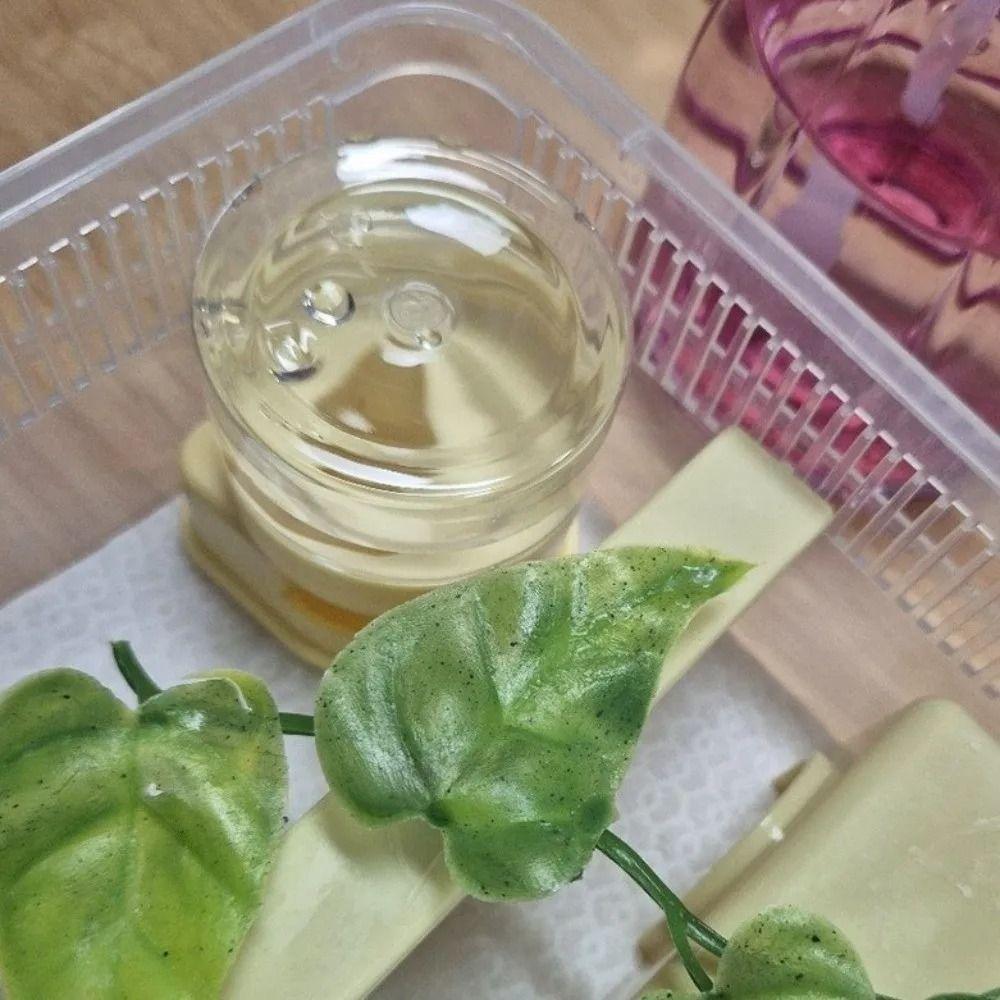 Detachable Reptiles Water Feeder Anti-slip Water Bowl Durable Reptile Water Dispenser  Turtle