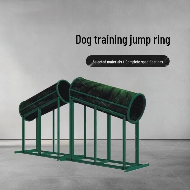Professional Canine Agility and Obedience Training Equipment