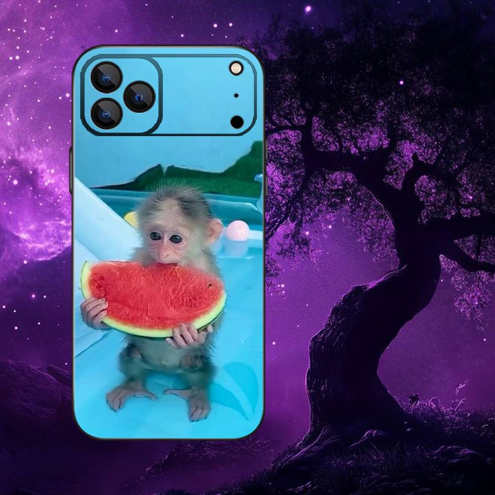 Cute Funny Monkeys Symbol Phone Case For iPhone 17,16,15,14,13,12,11,Pro Max,XSX,,XR,SE,Mini,8,7,Soft Silicone Black Cover