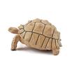 Sulcata Tortoise Mold Vivid Clear Texture 3D Effect Sea Ocean Life Simulation Animal Model for Kids
