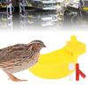 10 Stück Automatische Tränken Langlebiges Futterwasserwerkzeug Geflügelzubehör Huhn Geflügel Wasser Trinknapf Schalen für Vogel