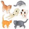 Children's Animal Model: British Shorthair, Maine Coon, Sloth, Orange, Calico, and Blue Cats - Car Decoration