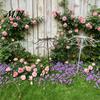 Elegant Trellis for Planters Vintage Umbrella Garden Trellis, Metal Climbing Plant Support, Shape Decorative Stand Terrace Vines Roses Clematis,