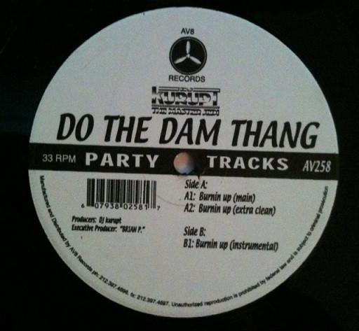 

LP Record DJ KURUPT - Do The Dam Thang AV258 AV8 Records US Rap & Hip-Hop/R&B Used