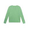 Polo Ralph Lauren Solid Color Logo Embroidered Cable Knit Crew Neck Sweater Men Sweater Green 710775885-052