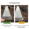 Transparent Seedling Cloche: Reusable Greenhouse Cover Protecting from Birds and Frost