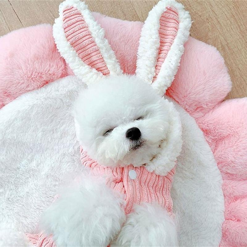 Cosplay Králík Vánoce Halloween Kostým pro mazlíčka s kapucí Sada Kočka Psi Svetr Udržet v teple Kombinéza pro mazlíčka Karnevalová párty