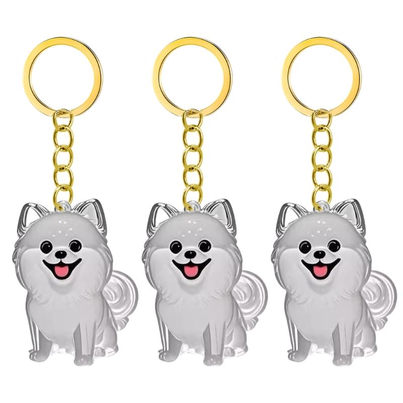 2/3/4/5/10 Pezzi Portachiavi Memoriale per Animali Domestici Con Raccoglitore Peli Trasparente Regalo Perfetto Per Proprietari di Gatti e Cani in Lutto Portachiavi Ricordo
