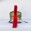 Medieval Roman Praetorian Guard Helmet, Brass Knight Helmet with Lion Engraving Red Plume Cosplay Armor, Display Helmet for Collectors