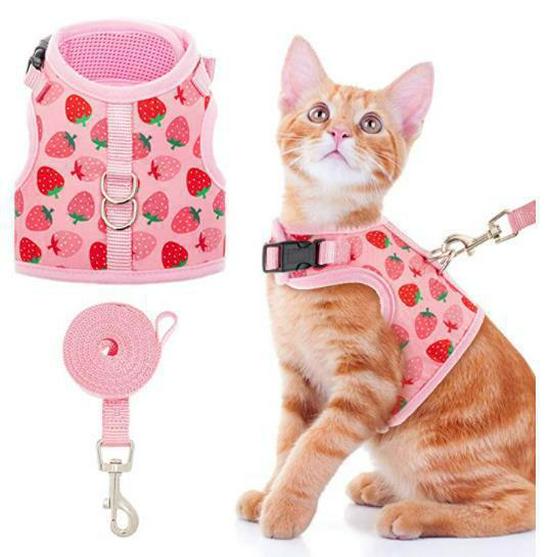 Reflective Anti-Escape Cat Harness & Leash Set - Breathable Vest Style Extra Small