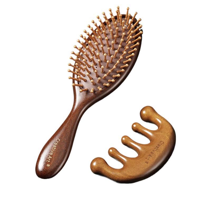 Creative Art Acupressure Massage Comb Set