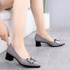 Chunky Heels Office Shoes for Women Block Heel On Heeled Pointed Toe Woman Pumps High with Bow Quality Young Fashion Non Slip 39