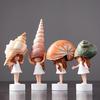 Linda Menina Concha Mini Caracol Marinho Bebê Resina Jardim de Fadas Miniaturas Figuras Artesanato Presentes de Aniversário Casamento