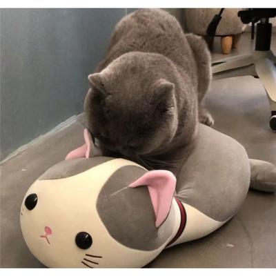 Weiche Plüschkatze Sexspielzeug Plüschtier Interaktive Katzen Puppe Erregungsspiel Plüsch-Accessoires Neuheit Haustierbedarf