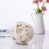 Bocotojp Bra Washing Ball, Laundry Bag, PP Plastic Laundry Net, Protective Bra and Clothes Cleaning Tool, Washing Bag, Set of 2