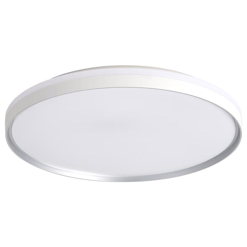 Foshan Lighting Modern Minimalist LED Ceiling Lamp