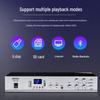 Diyou Embedded Ceiling Speaker & Amplifier System CN Plug (adapter Included) (CN Version)
