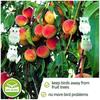 Reflective Owl Hanger for Bird Repellent, Pigeon Repellent, Scarecrow - Effective Protection against Pigeons, Geese