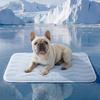Cross-Border Pet Supplies: Four-Season Washable Dog House, Cat Sleeping Mat, & Cooling Dog Ice Mat