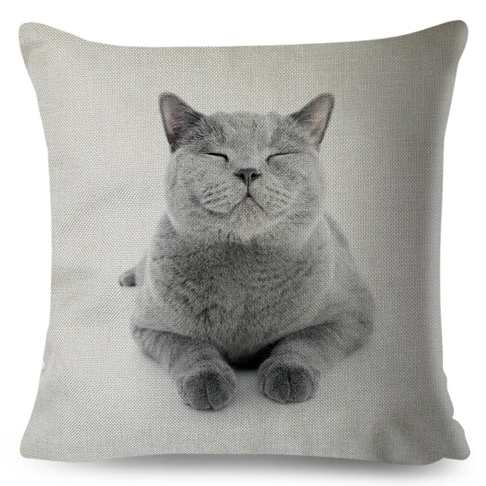

Милый чехол для подушки с изображением мультяшного кота для автомобиля, дивана, дома, детской комнаты, декор, наволочка с изображением домашнего животного, кошечки, наволочка из полиэстера 45x45 см 40x40cm