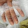 Drawstring Anti Bird Net White Mesh Plant Protection Net New Garden Netting  Garden Protection