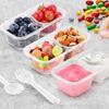 Disposable Double-Layer Seasoning Container with Lid, Salad Tomato and Dipping Box for Food Storage