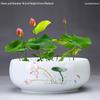 Großer Keramik-Lotus Seerose Hydroponischer Blumentopf ohne Abfluss
