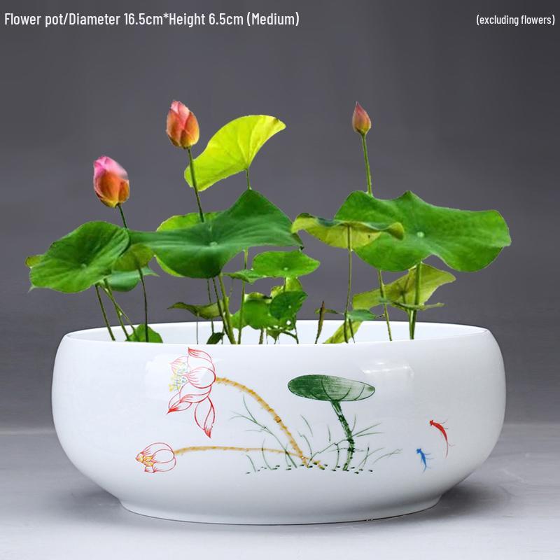 Großer Keramik-Lotus Seerose Hydroponischer Blumentopf ohne Abfluss